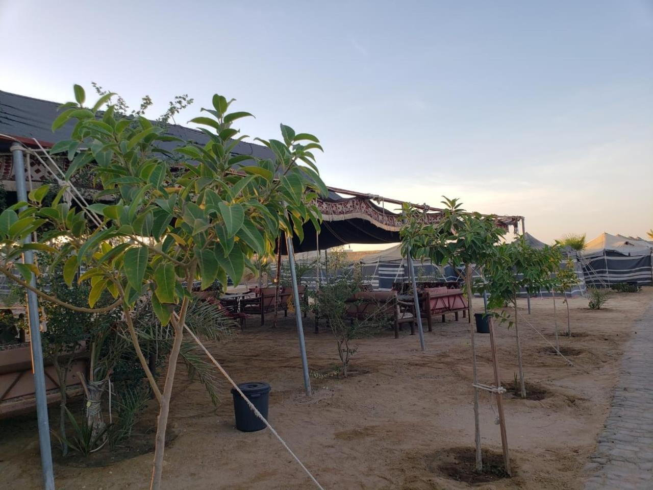 Hotel Royal Tours Permanent Camp Umm Lajj Exterior foto